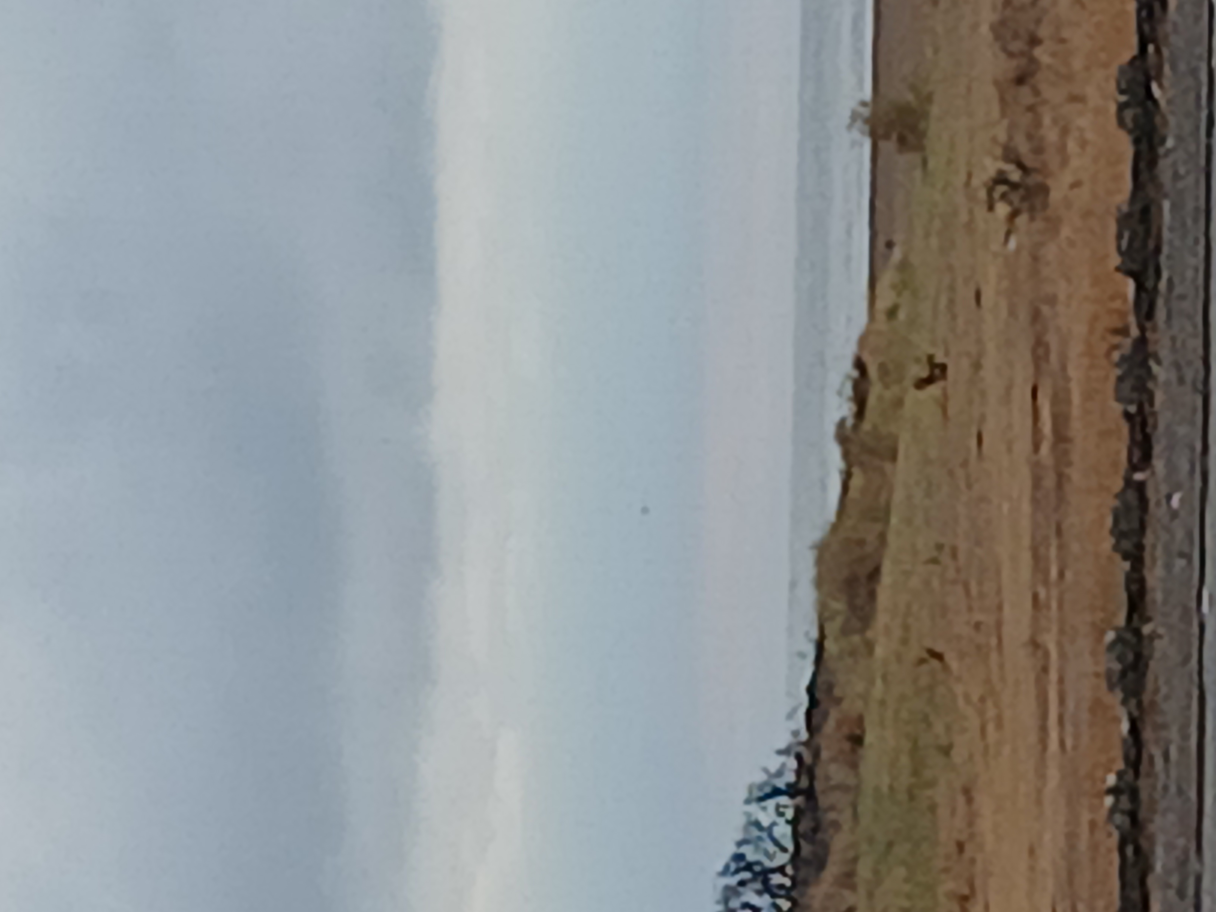 Day